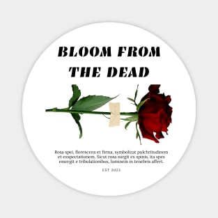 Resilient Blossom: Rose of Hope Tee Magnet